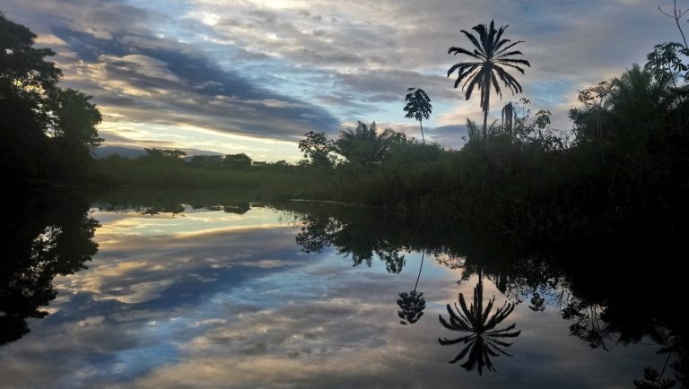 Chapada Diamantina Nationalpark - Pantanal Marimbus
