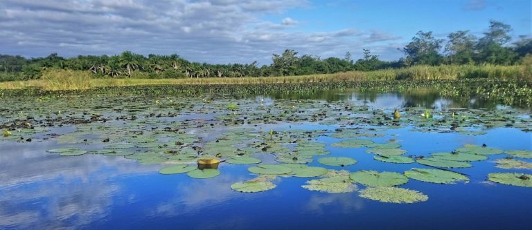 Chapada Diamantina Nationalpark - Pantanal Marimbus