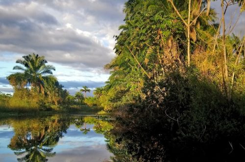 Chapada Diamantina - Pantanal Marimbus