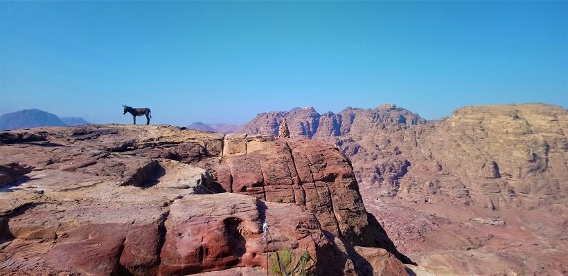 Ausblick über Petra und einem Esel