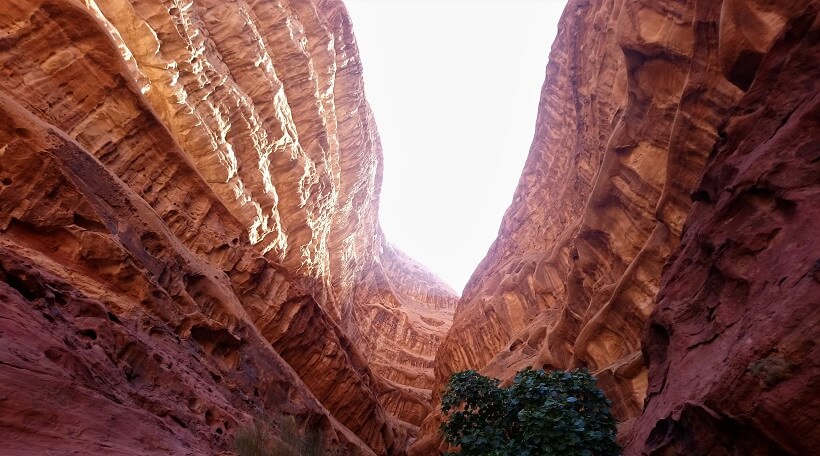 Canyon in der Wüste Wadi Rum