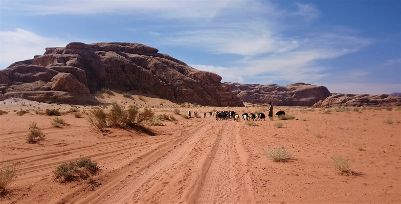 Wüste Wadi Rum